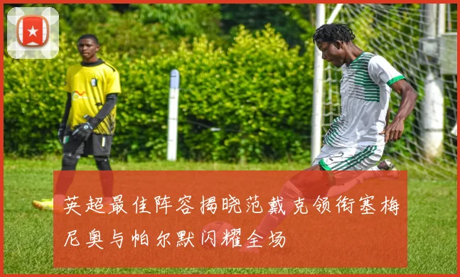 英超最佳阵容揭晓范戴克领衔塞梅尼奥与帕尔默闪耀全场